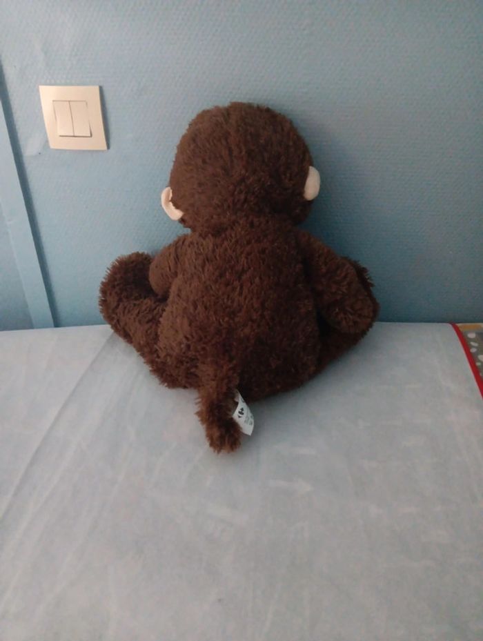 Singe - photo numéro 2