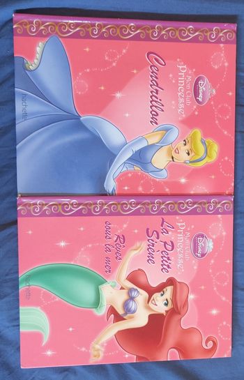 Livre princesse Disney