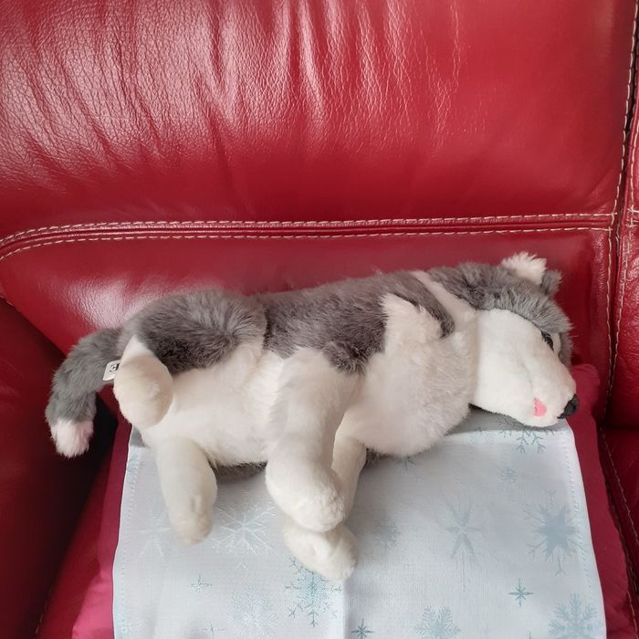 Peluche Husky *31 cm - photo numéro 7