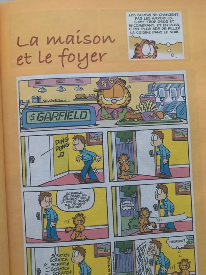 Garfield – Mon premier dictionnaire d’anglais (2012) - photo numéro 7