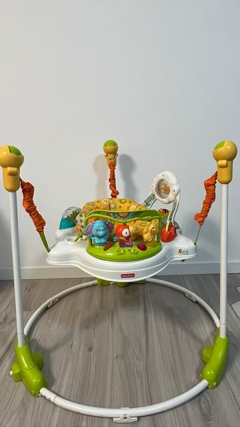 Sunny days jamperoo Fisher price Amis de le jungle