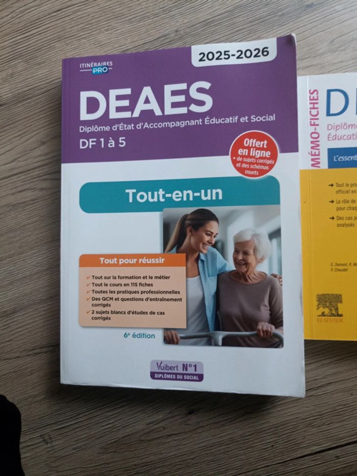 Diplôme d'état d'accompagnant éducatif et social - photo numéro 2