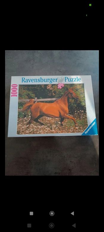 Puzzle 1000 pièces ravensburger complet