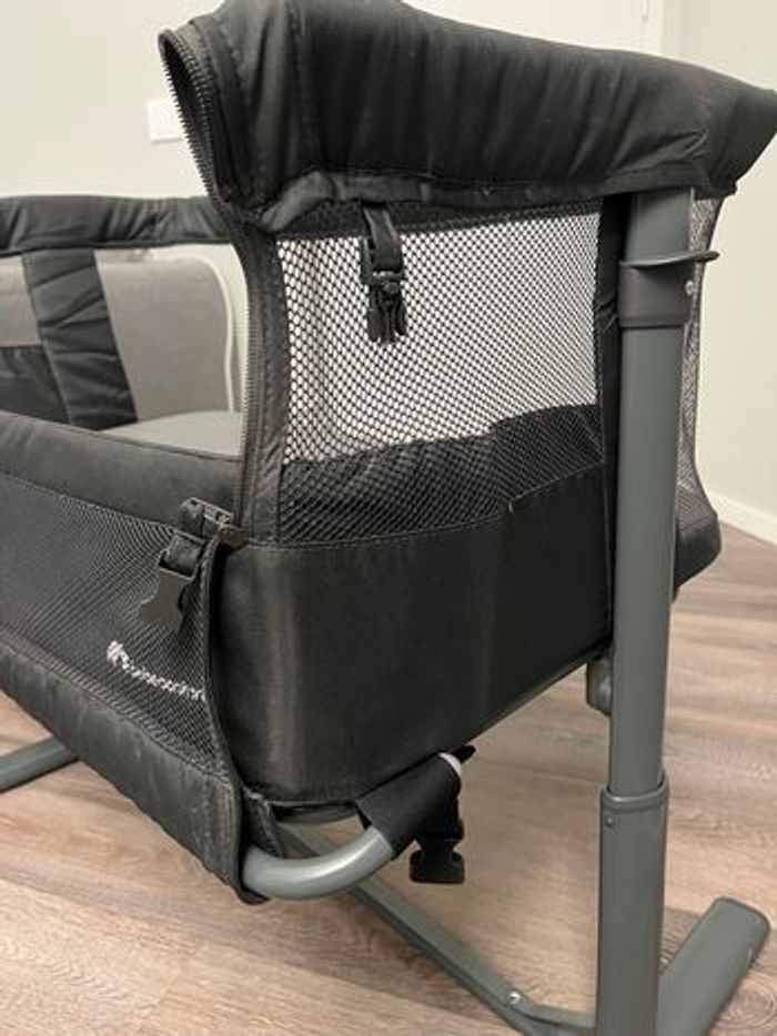 Cododo - photo numéro 6