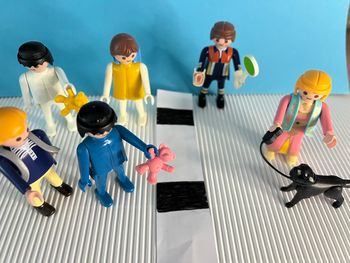 Lot de playmobil