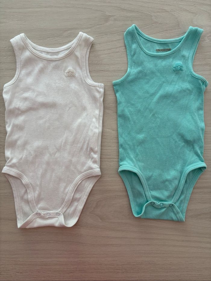 Bodies