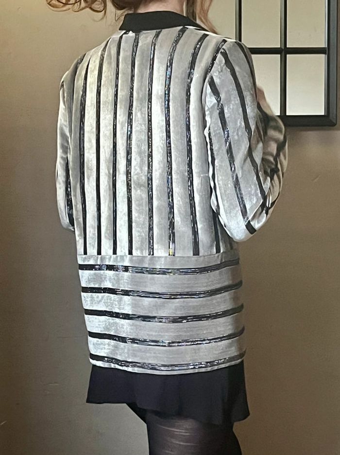 Veste blazer rayures noires et argentées en velours - photo numéro 7