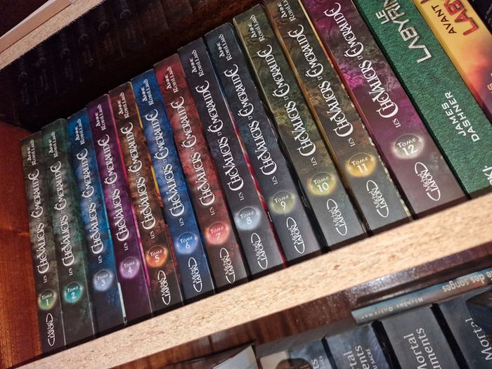 Saga les chevaliers d'émeraude intégrale en grand format