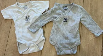 Lot 2 bodies