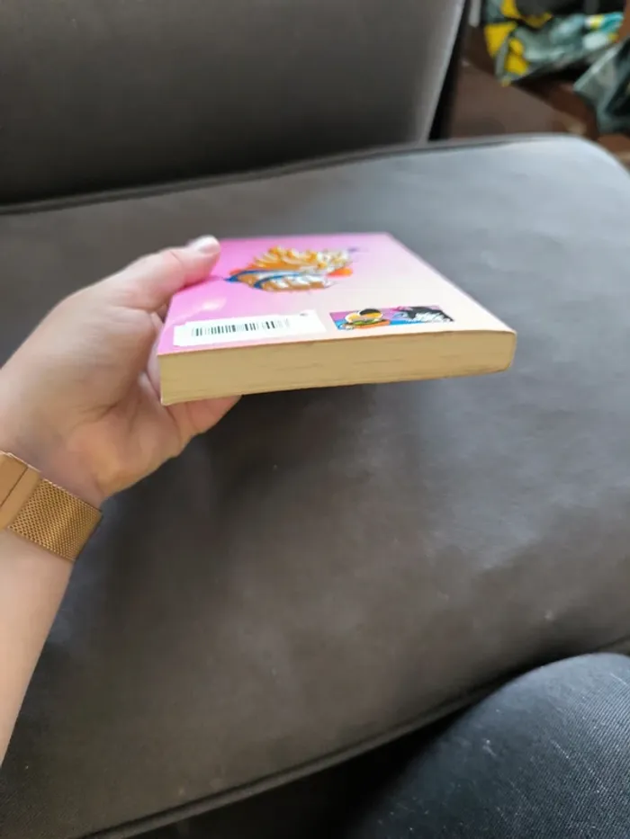 Manga dragon ball pastel tome 31 - photo numéro 5