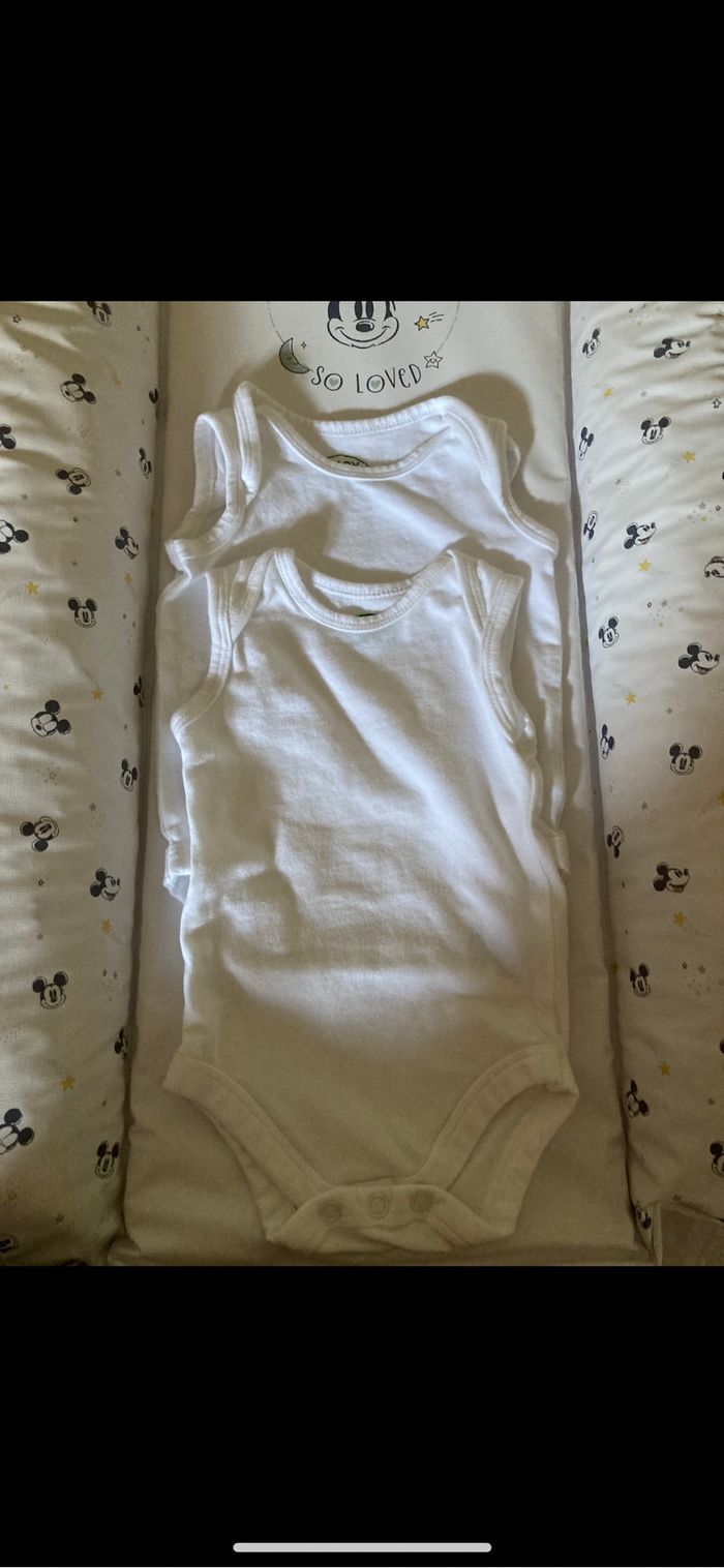 Lot 2 bodies