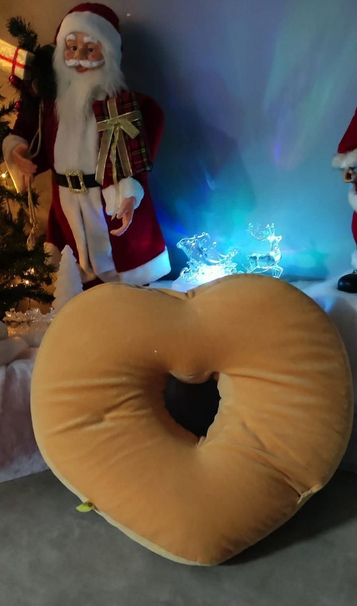 Grand coussin décoratif - photo numéro 2