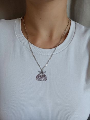 Joli collier en acier inoxydable argenté.