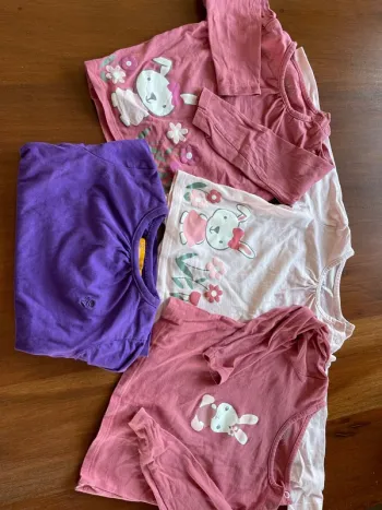Lot de 4 t-shirt manches longues taille 2 ans bon état