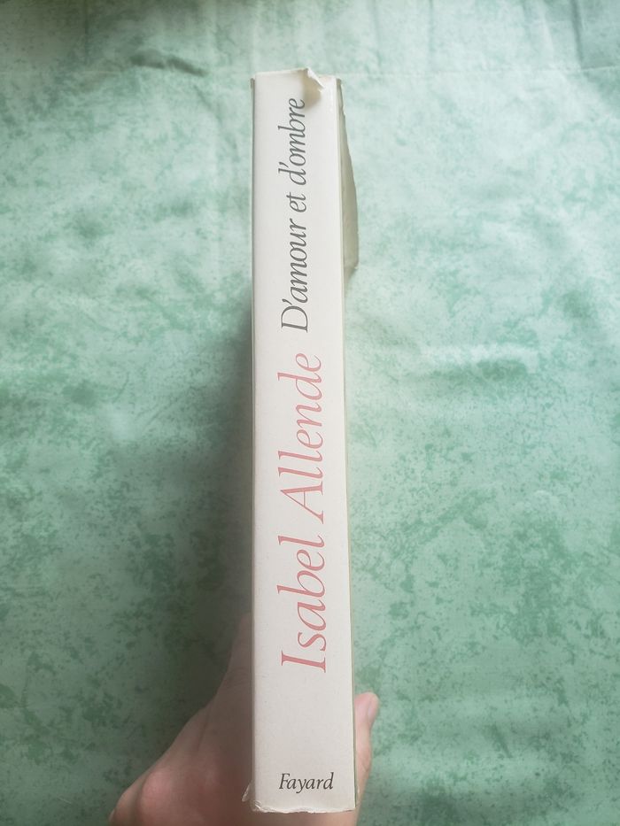Livre d'amour et d'ombre - photo numéro 3