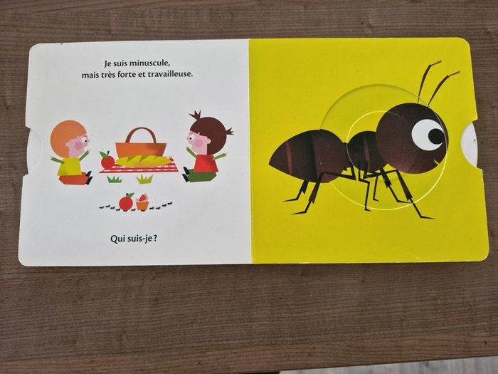 Livre animaux Les petites bêtes - photo numéro 3