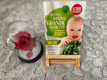 Livre petites mains grandes assiettes
