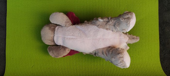 Dragon noukie's - photo numéro 5