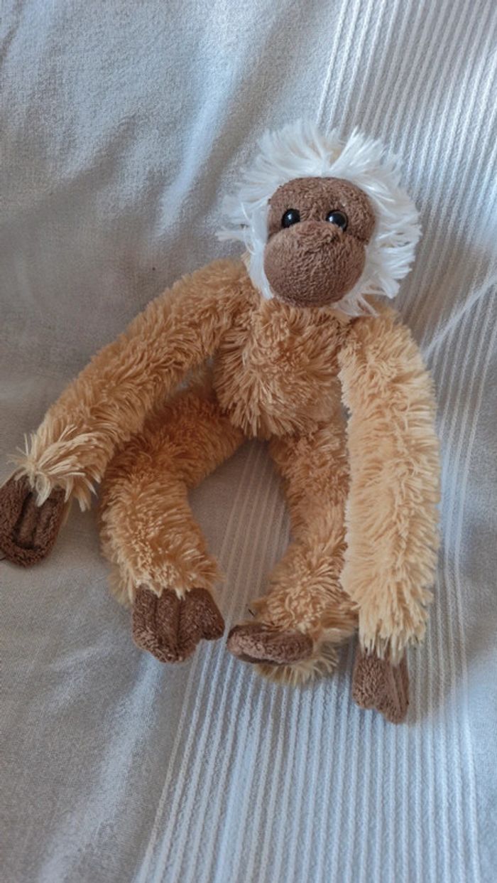 Singe paresseux Ravensden