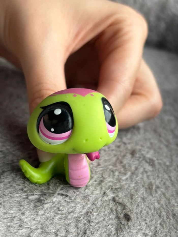 Petshop serpent - photo numéro 2