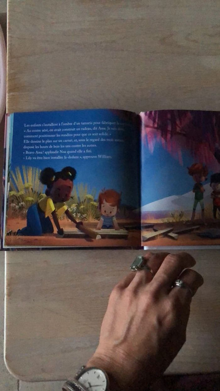 Une carriole dans la Camargue - photo numéro 3