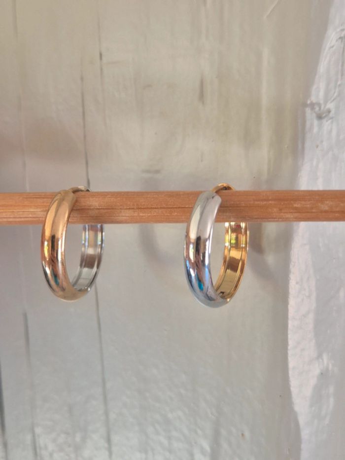 Jolie boucle d'oreilles bicolore acier