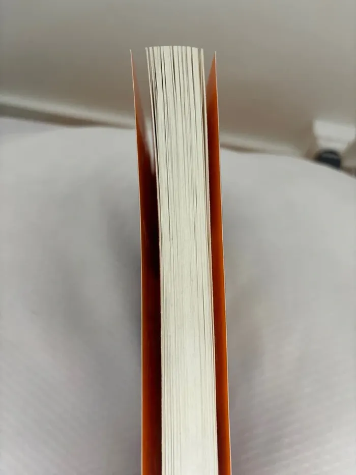Livre journal d’un dégonflé - photo numéro 3