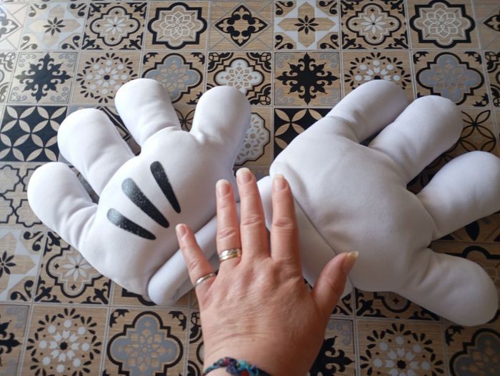 Mains de Mickey - photo numéro 4
