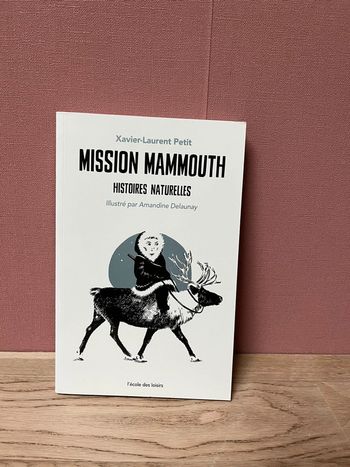 Roman école des loisirs 9