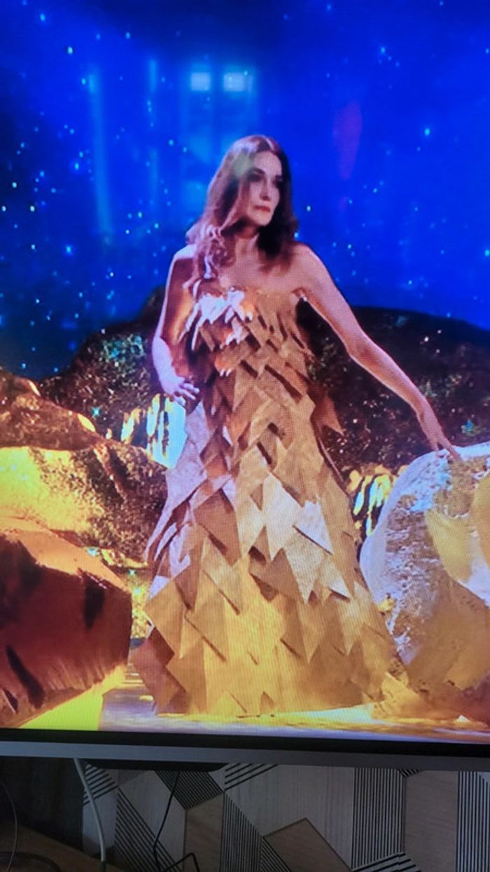 Robe les enfoirés carla bruni - photo numéro 3