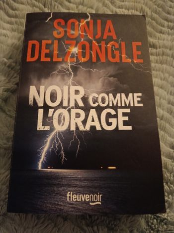 Livre noir comme l' orage de delzongle