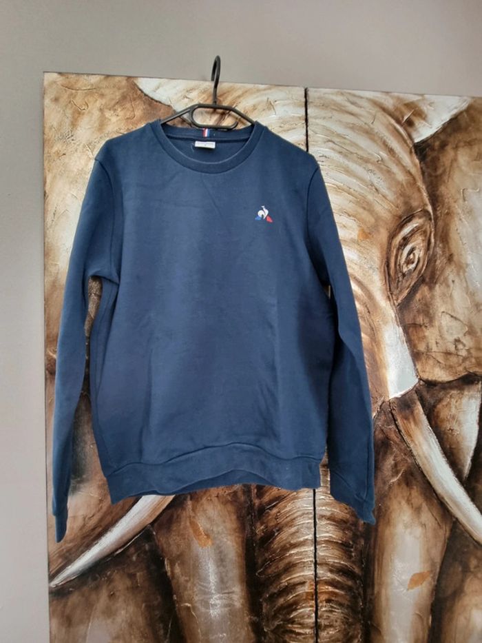 Pull coq sportif