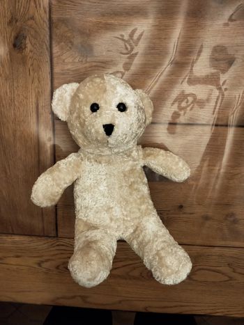 Ours en peluche