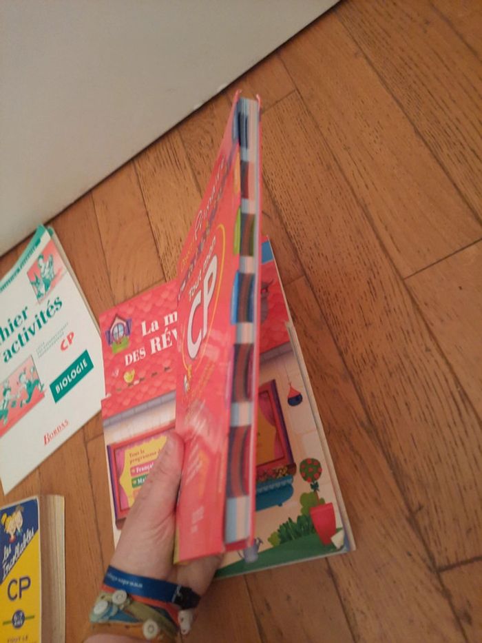 Lot niveau cp - photo numéro 6