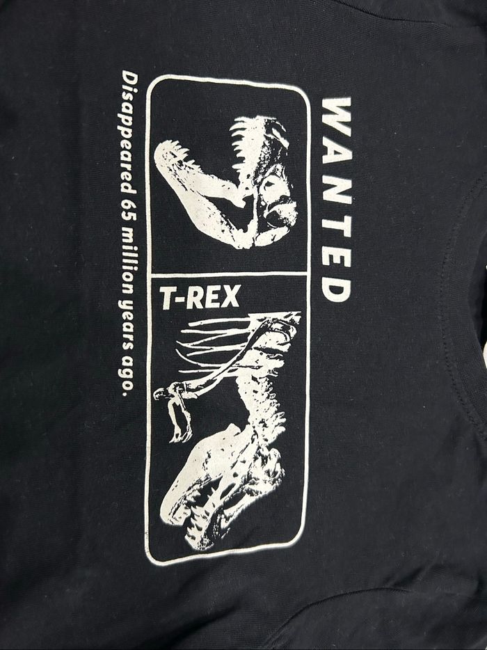 T-shirt ML garçon 5ans - photo numéro 3
