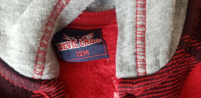 Veste à capuche T12 mois - photo numéro 2