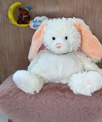 HD70 doudou lapin 🐰 histoire d’ours