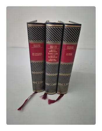 3 livres Georges Simenon pour 5 euros seulement