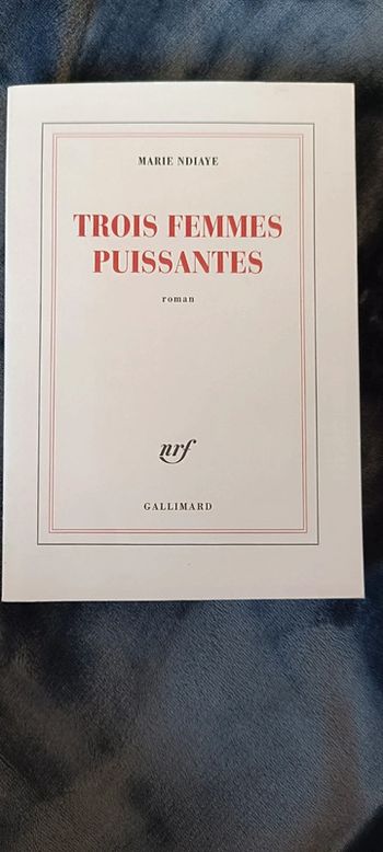 Livre neuf Trois femmes puissantes de Marie Ndiaye