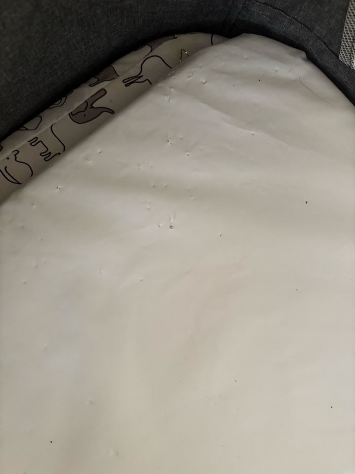 Cododo - photo numéro 7