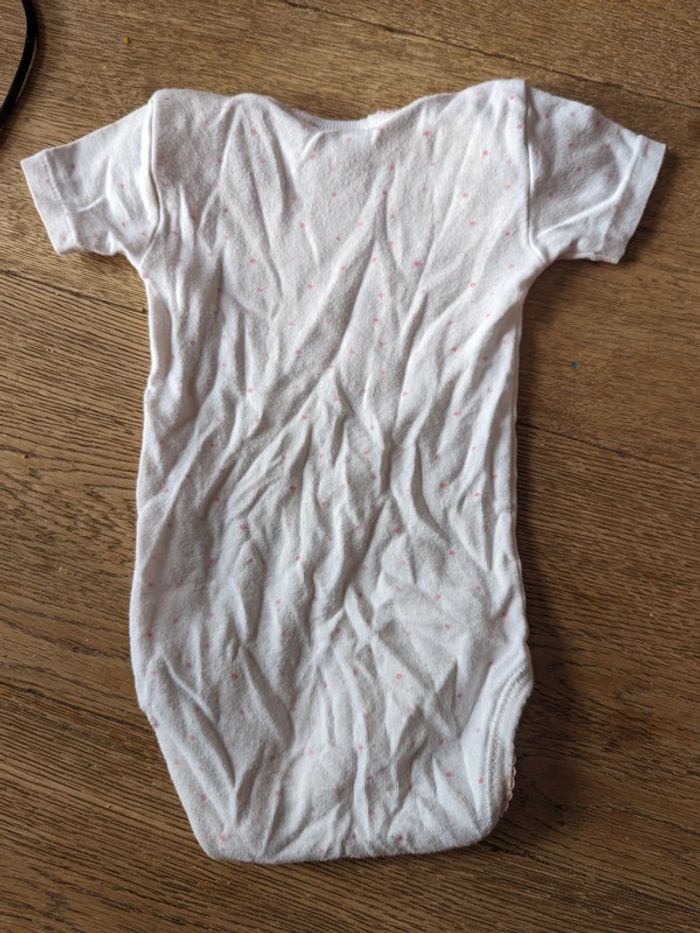 Lot 3 bodies manches courtes kitchoun / pommettes 9 mois - photo numéro 4