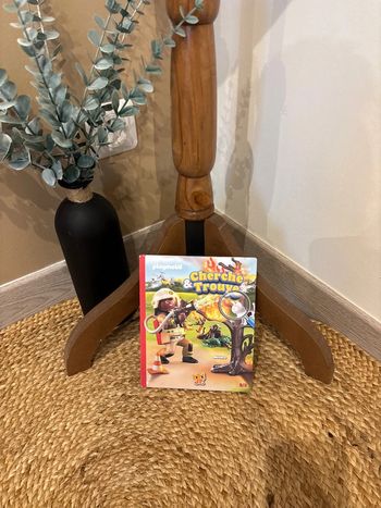 Livre cherche et trouve playmobil