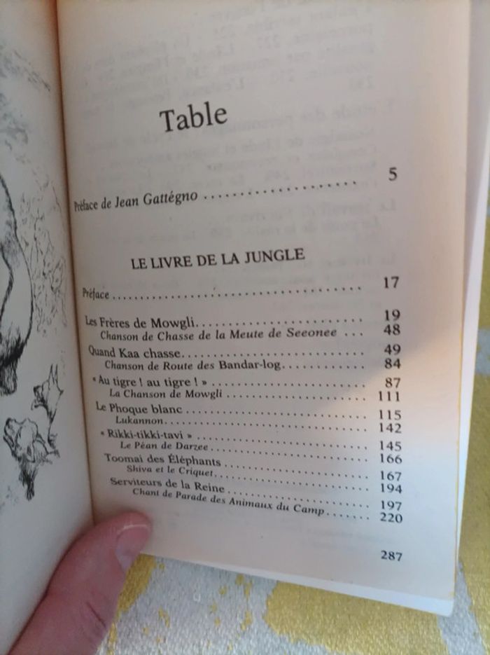 Livre " le livre de la jungle" Kipling neuf - photo numéro 6