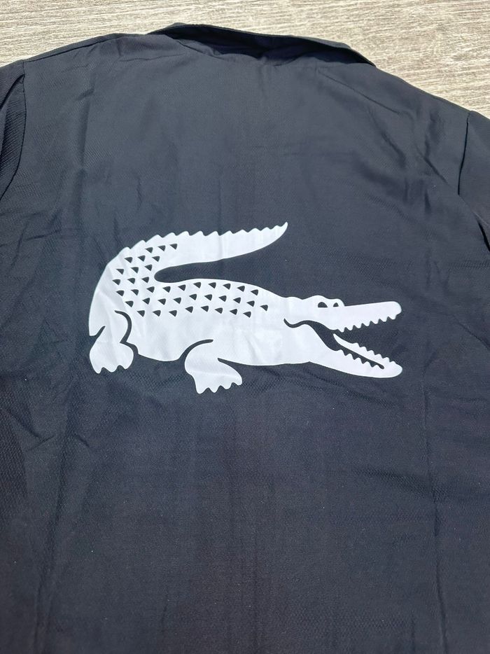 Lacoste - photo numéro 7