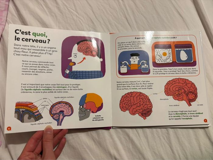 Livre Mes p’tites questions - Le cerveau - photo numéro 5