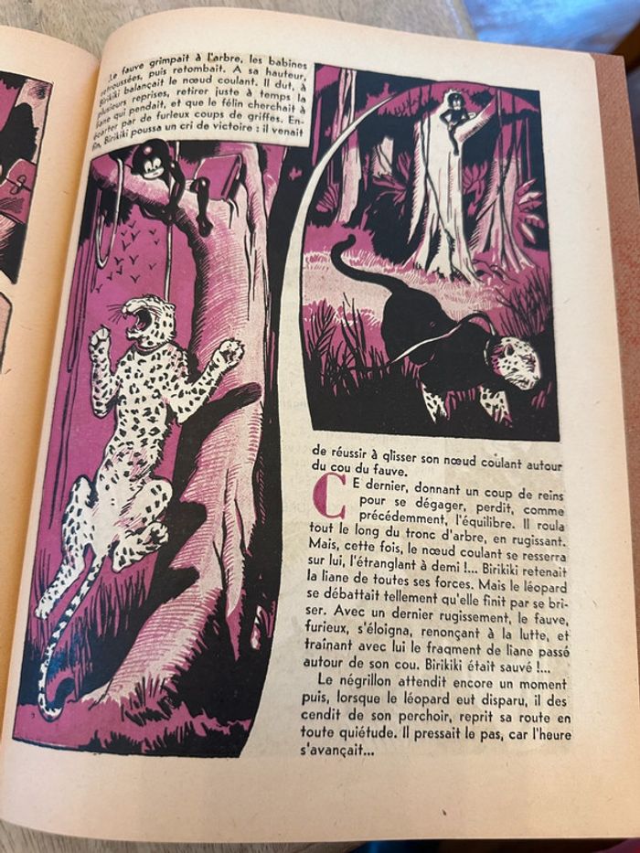 Livre ancien rare Birikiki dans la forêt vierge Roger Roux Pierre Probst éditions puits pelu Lyon - photo numéro 13