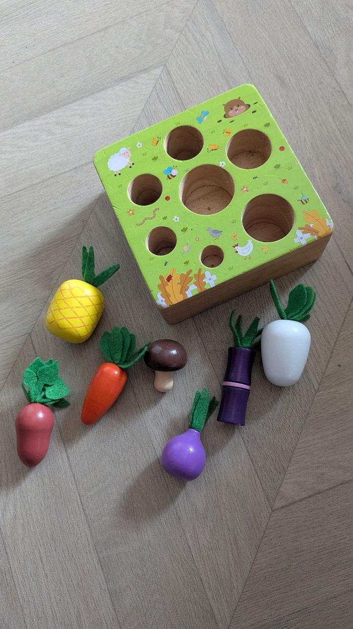 Jeu d'encastrement le potager - photo numéro 2