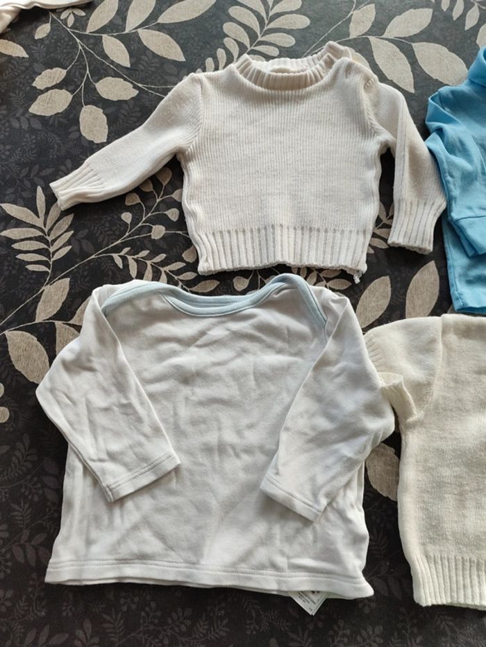 Pulls, tee shirt et sous pulls - photo numéro 2