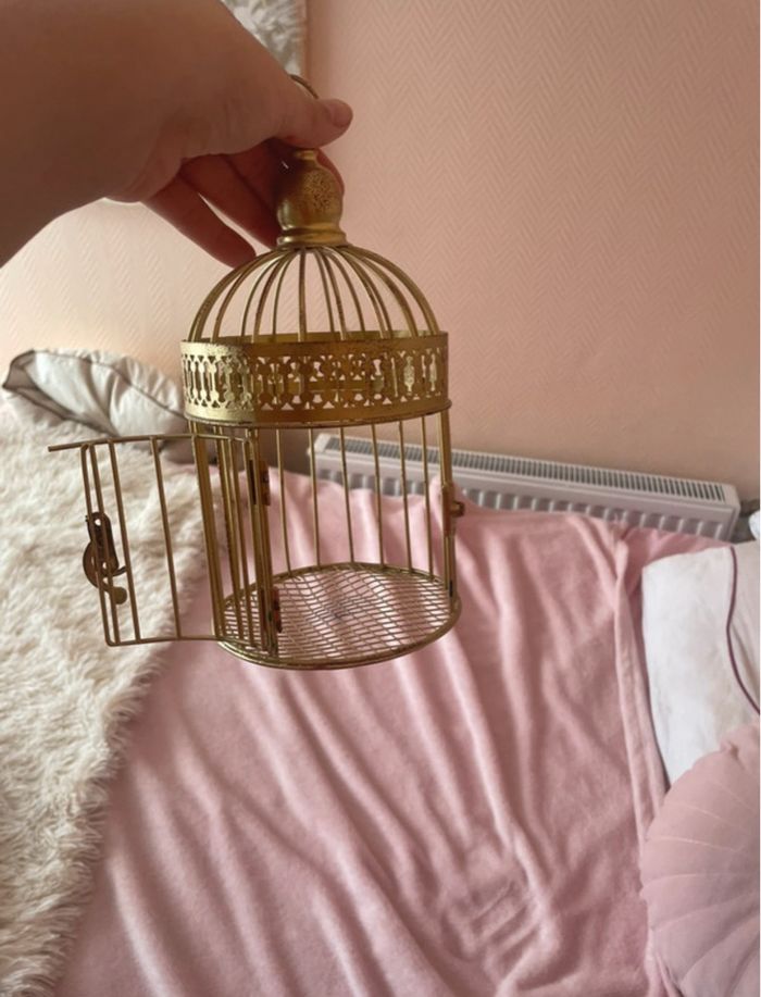 Cage oiseaux - photo numéro 2