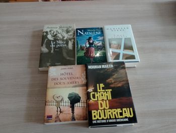 Lot de 5 livres, divers (2)(Danielle Steel ect.)